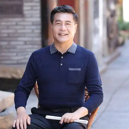 汤河之家长袖t恤男2019秋冬上新长袖polo衫中老年爸爸装条纹翻领男式t恤b