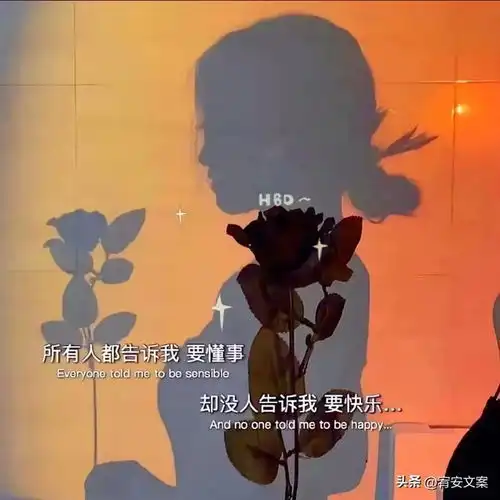 今日文案极致清醒小句子,柴米油盐,晨起暮落,各有滋味