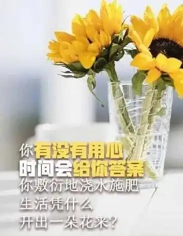 朋友圈阳光的一段漂亮语录