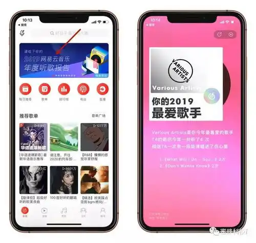 2019各大app的年度报告总结