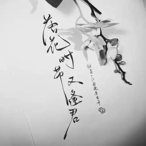 一起来谈谈书法艺术的学习