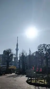 日本伊豆东京10天自由行,一家三口