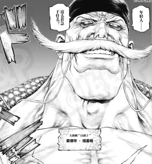 海贼王艾斯传第1话艾斯获得恶魔果实很戏剧,第一个伙伴是作家