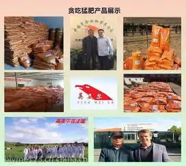 大白鹅喂什么好白鹅吃什么料精上膘快怎么样