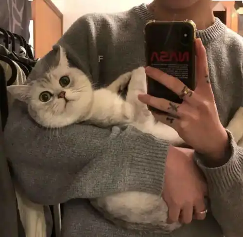 头像精选