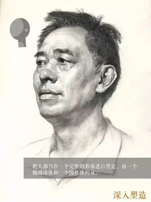 素描头像分析解构附步骤