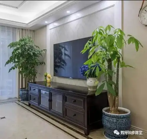 背景墙二边边框内配什么好看
