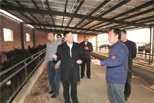 让驴跑得更快