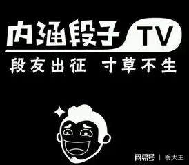 为什么永久关停只有内涵段子,火山西瓜快手抖音都还健康吗