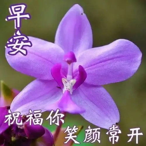 早安温馨祝福语简短创意2021年早安祝福表情图片