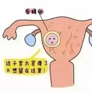 25岁的卵子和45岁的卵子差别竟然这么大