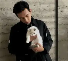 佟年送韩商言的猫火了,现已长大颜色也变深,每天都有剧迷去合影