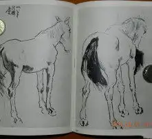 黄页88高清图片
