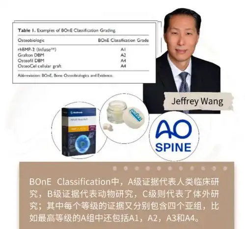 同种异体骨的演进之路