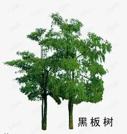 花草树木素材图片免费下载高清漂浮素材png千库网图片编号1932652