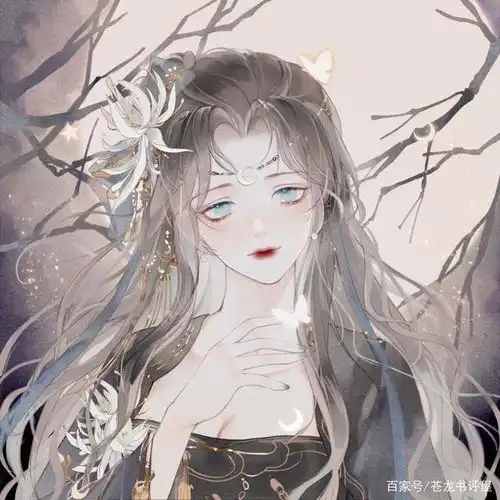 测试一个超长简介的文章