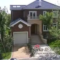 图片分享
