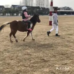 电话地址价格营业时间松江镇马术场团购
