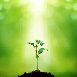 三分钟集齐四部神剧才能召唤假期