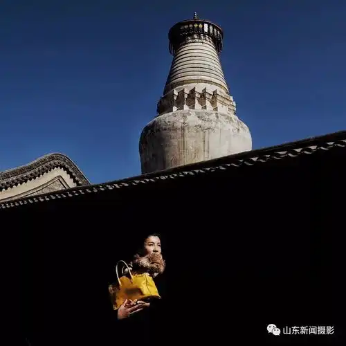 随心随缘