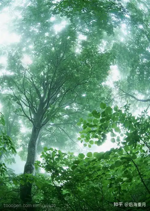 天地与我并生读寂静的春天
