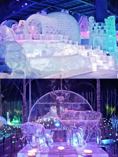 全网最全的哈尔滨冰雪大世界梦幻冰雪馆攻略来啦