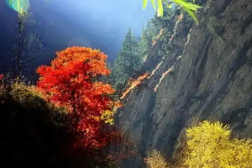 纵使山河远阔,也不及你眼里的星辰