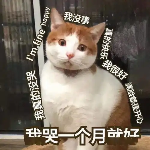 北方人和重庆人的爱情故事,也太好笑了吧