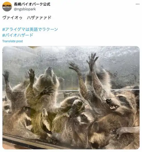 测试一个超长简介的文章