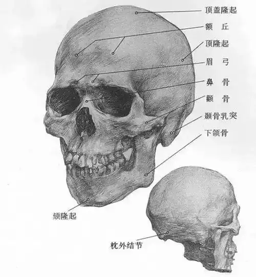 10个技巧,让你的素描头发,看起来不死板粗糙,有质感