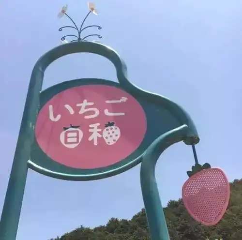 人生不能太过圆满,求而不得未必是遗憾