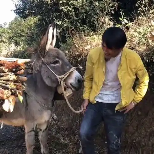 哥哥为了学毛驴叫,特意养了一只,如今他俩都可以用驴叫声沟通了