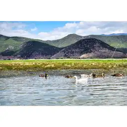 岁月你好,我在丽江慢节奏旅行丽江泸沽湖六天五晚