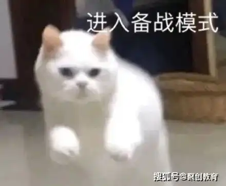 别再问专升本怎么选,这四点告诉你答案