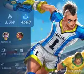 个人主页放啥英雄看看四千赞玩家的选择,让你心情愉悦
