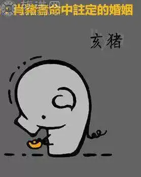 十二生肖如何改命,看着很实用