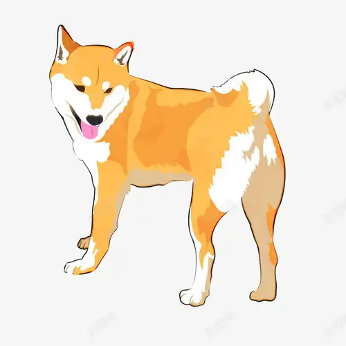 手绘黄色柴犬平面电商创意素材柴犬素材