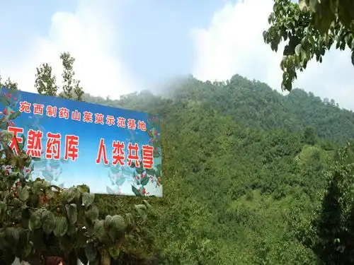 看医圣,享中医药文化大餐
