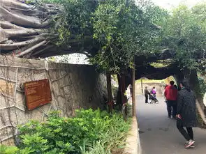 厦门土著带你玩最文艺的鼓浪屿,吃最地道的厦门菜