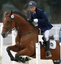 亮点满满58位骑手闪耀登场2017广东省马术俱乐部联赛香港赛马会杯广州总决赛