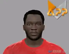 pes2017曼联新援卢卡库脸型补丁