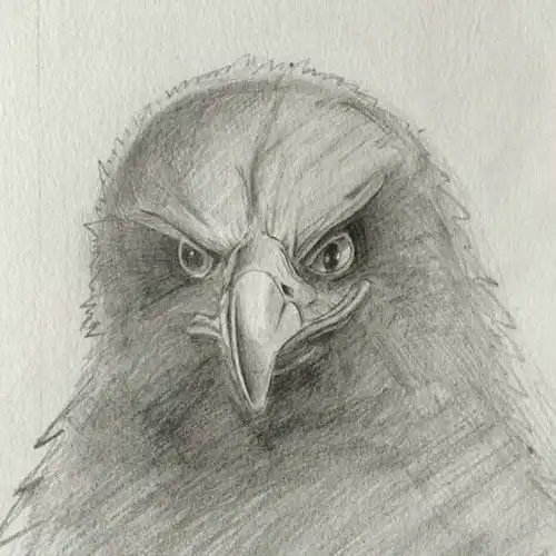 素描手绘雕兄