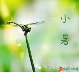 小暑节气养生有讲究过了这六关安然度夏天
