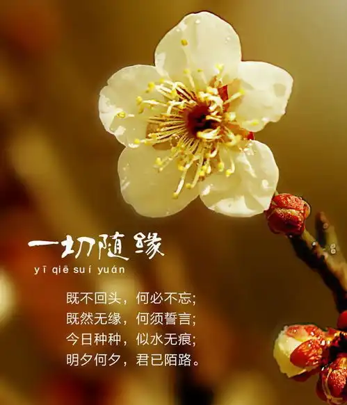 原来,人的命数,在你降生的那一刻,就已经安排好了