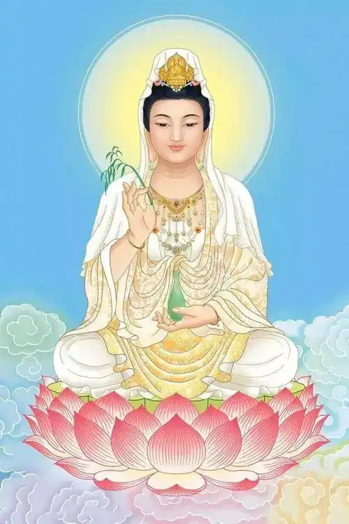 迷之审美的恒大大球场莲花