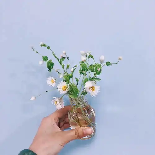 测试一个超长简介的文章