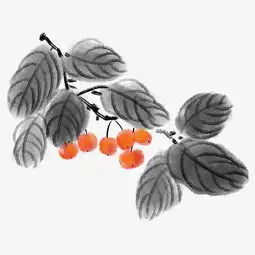 黄色的樱桃水墨插画图片素材其他格式下载动漫人物大全