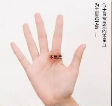 这几种特征的手相,富贵天注定,八方聚财,注定成为大富豪