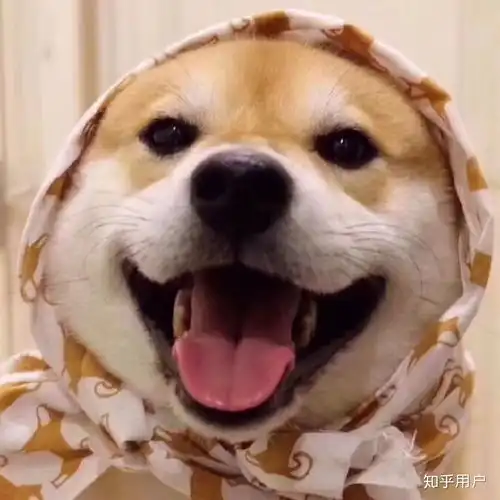 1收藏夹