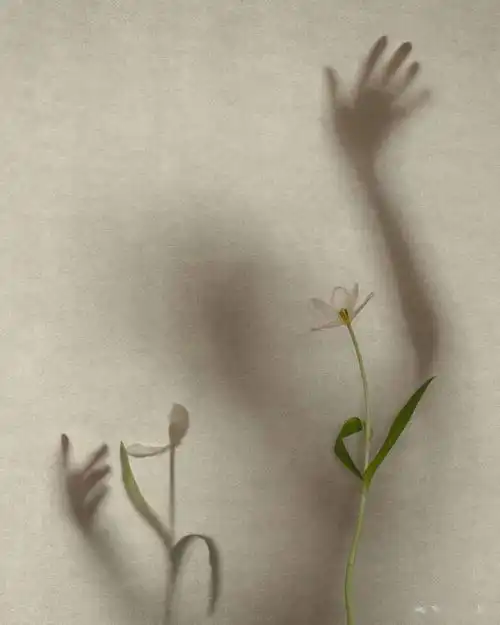 要我说,这是女摄影师自拍的天花板